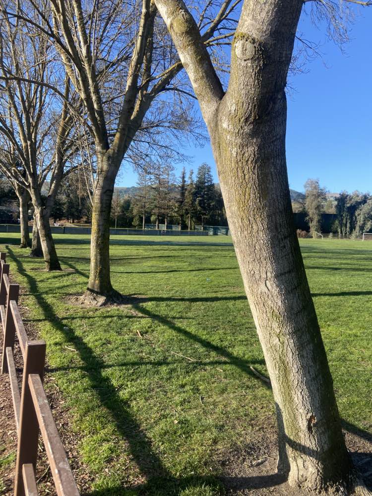 walking near me in Athan Downs in winter