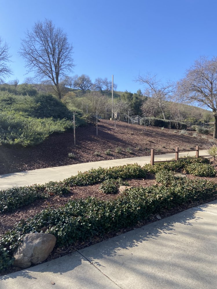 walking near me in Memorial Park in winter