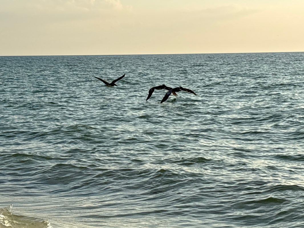 walking near me in Collier County Barefoot Beach Access in autumn