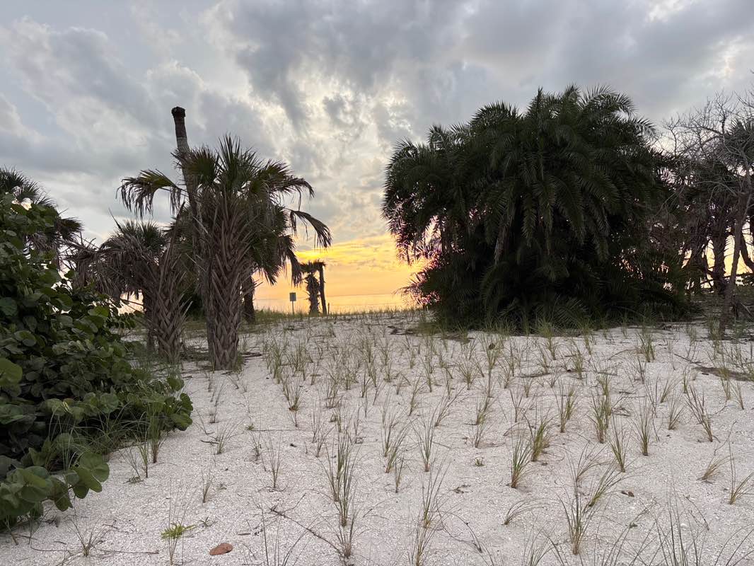 walking near me in Collier County Barefoot Beach Access in winter