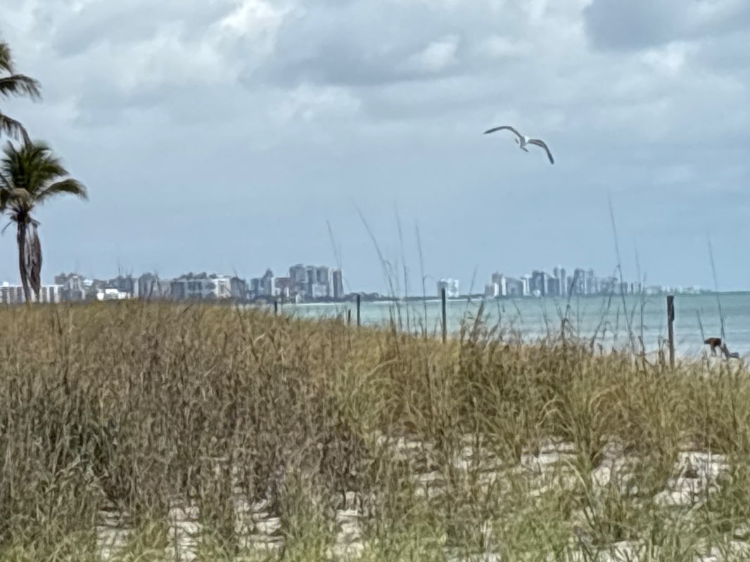 walking near me in Collier County Barefoot Beach Access in spring