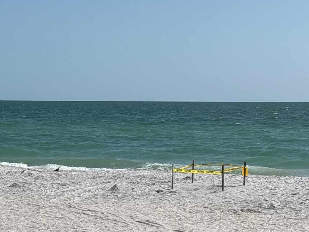 walking near me in Collier County Barefoot Beach Access in summer
