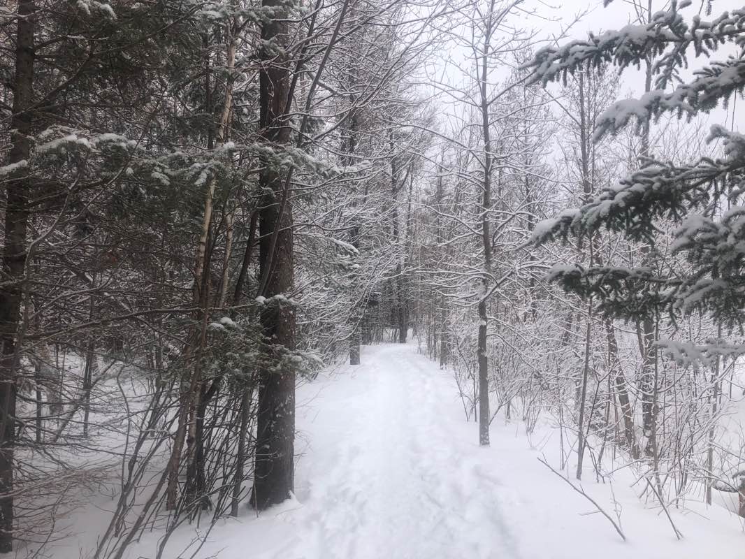 walking near me in Parc de la Montagne-des-Roches in winter
