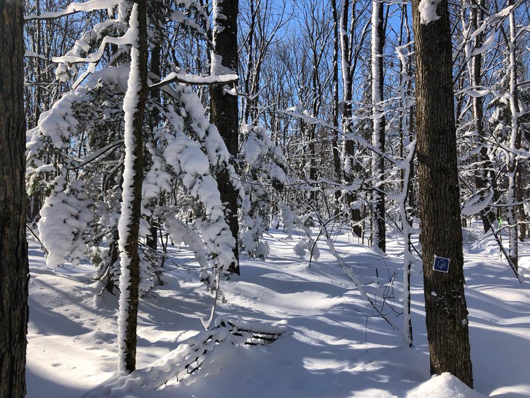 walking near me in Base de plein air de Sainte-Foy in winter