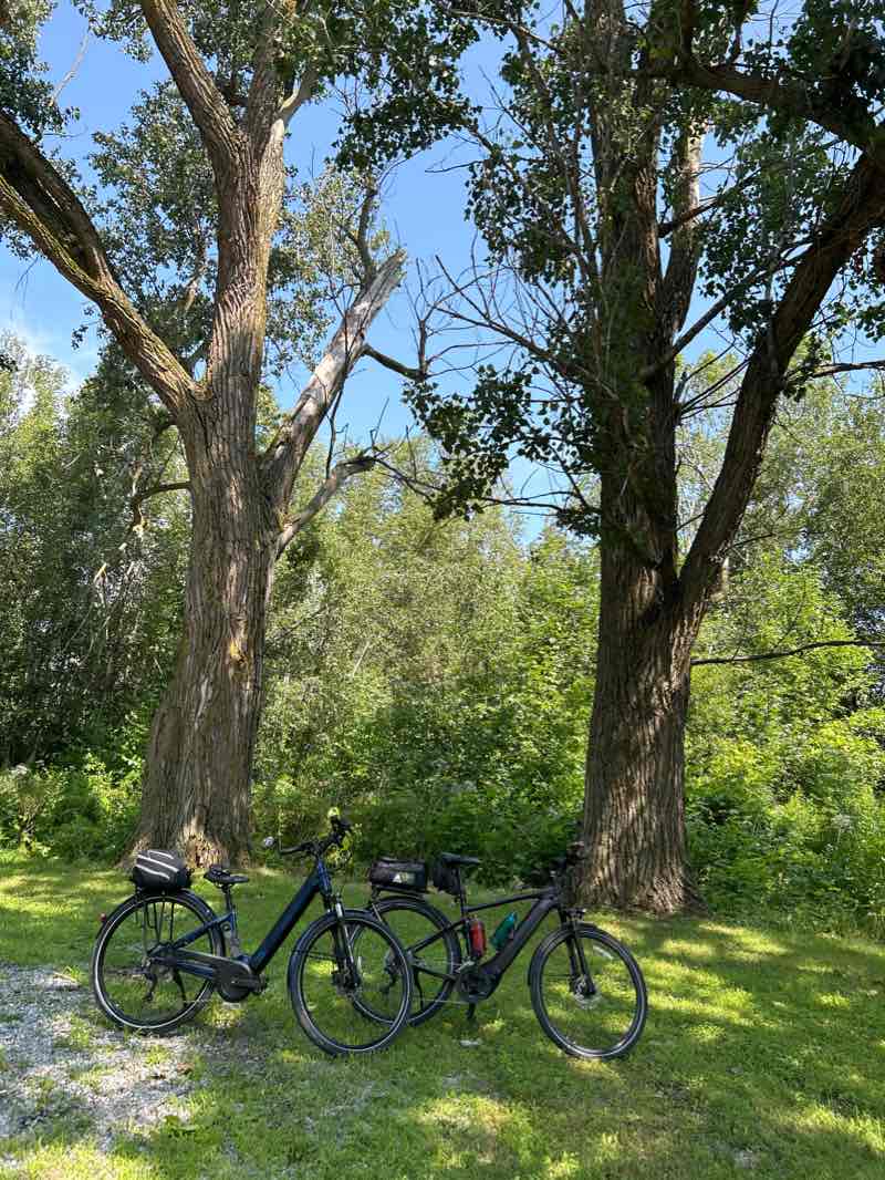 walking near me in Halte cycliste Georges-Harold-Mudie in winter