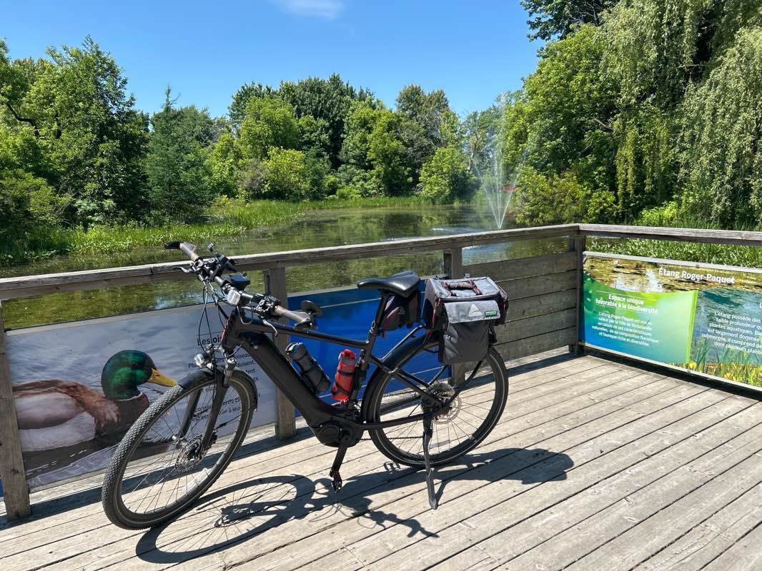 walking near me in Parc de la Rivière Bourbon in summer