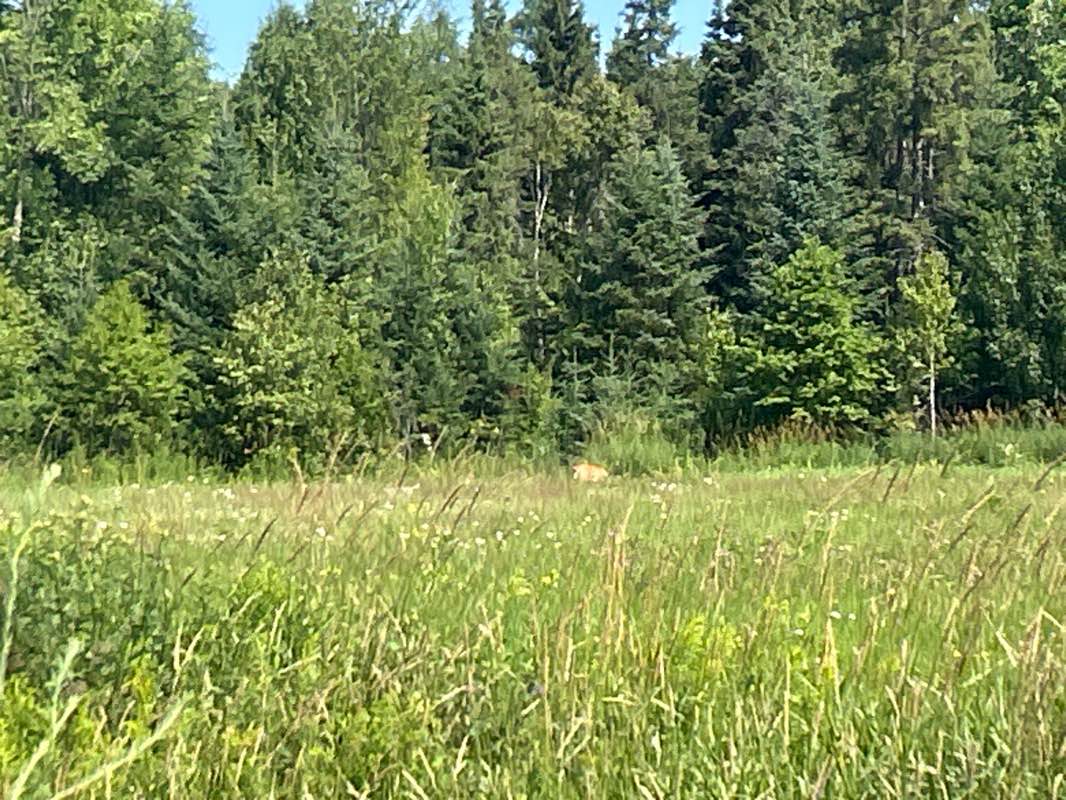 walking near me in Halte riveraine du Lac Témiscouata in autumn