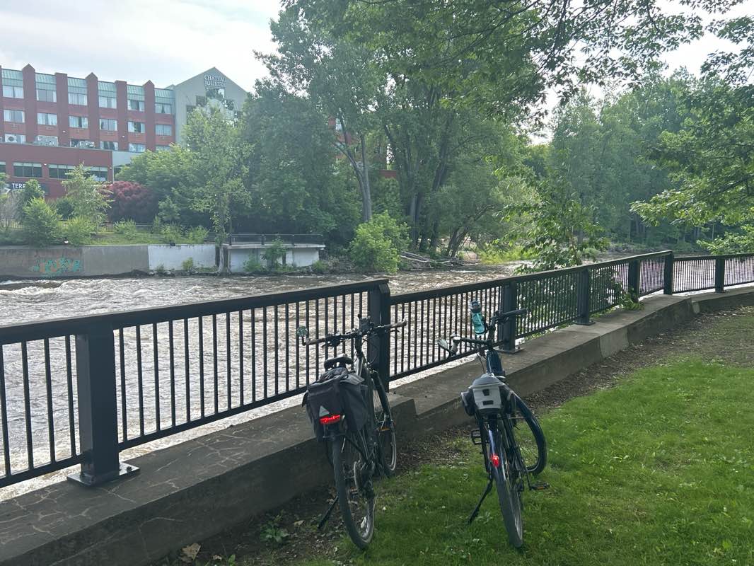 walking near me in Parc Bois Brûlé in summer