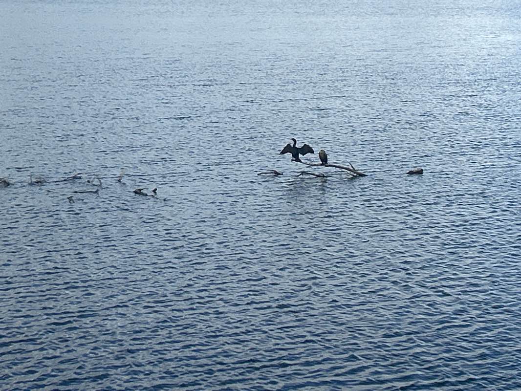walking near me in Place Wilfrid-Labbé in autumn