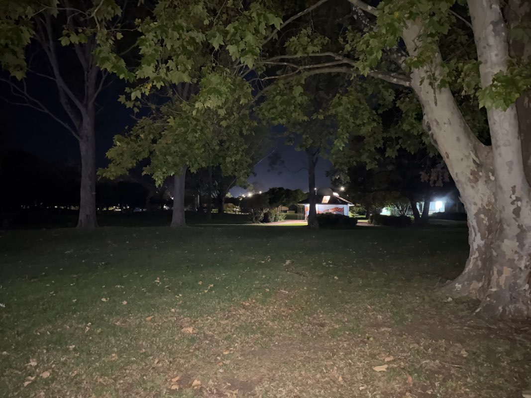 walking near me in Harry Sawkins Park in autumn