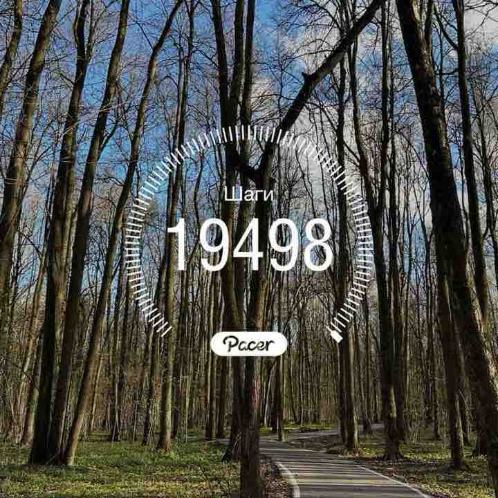 PacerТоварищ post 1