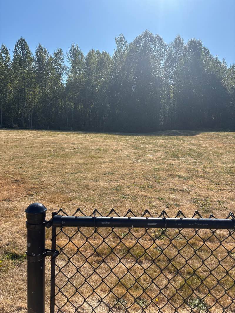 walking near me in South Hill Park in autumn