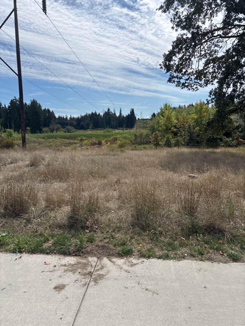 walking near me in Mayflower Dairy Park in autumn