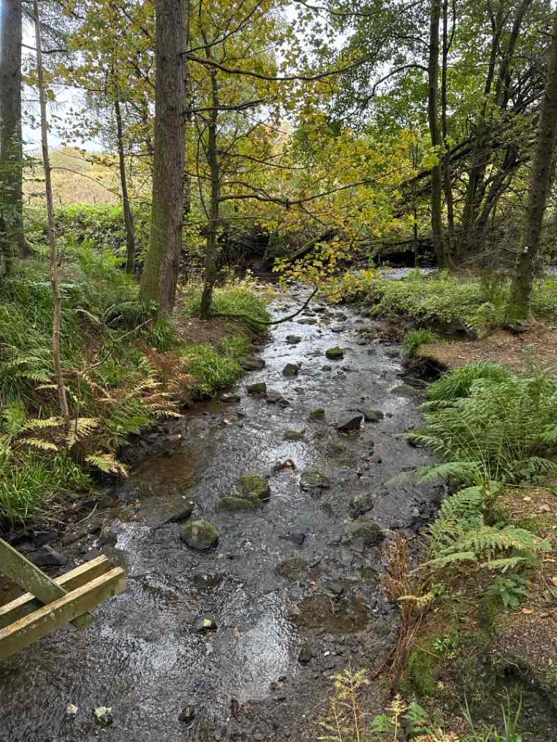 walking near me in Colonsay Field in autumn