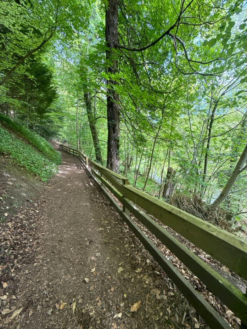 walking near me in Town Centre Park in spring