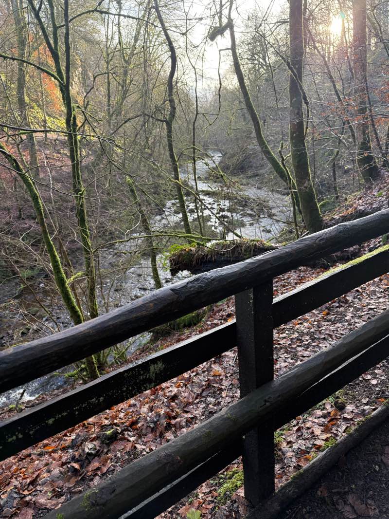 walking near me in Calderglen Country Park in winter