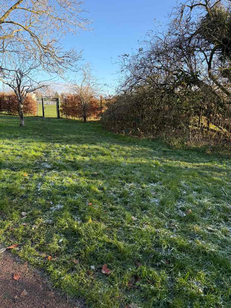 walking near me in East Kilbride Show Park (Westbog Park) in autumn