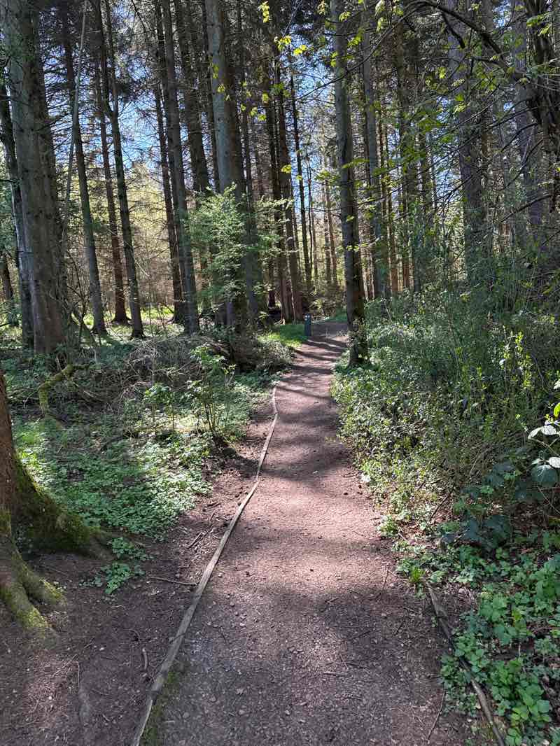 walking near me in Calderglen Country Park in spring