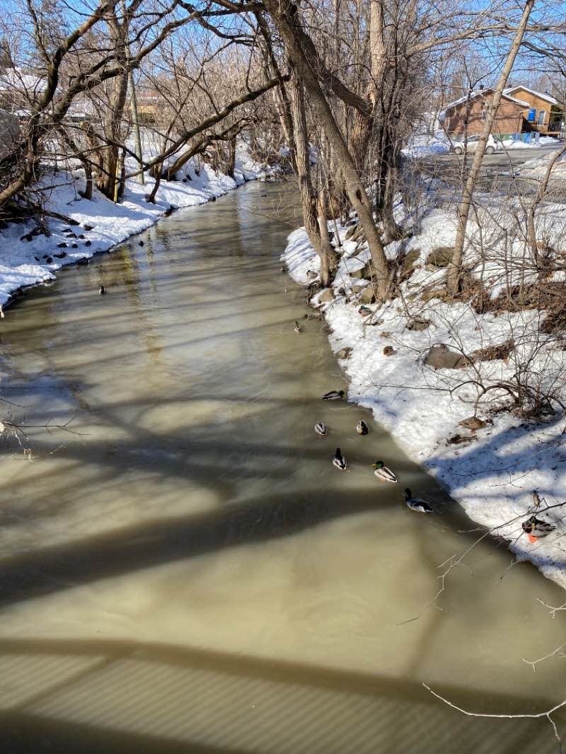 walking near me in Parc Godard in winter