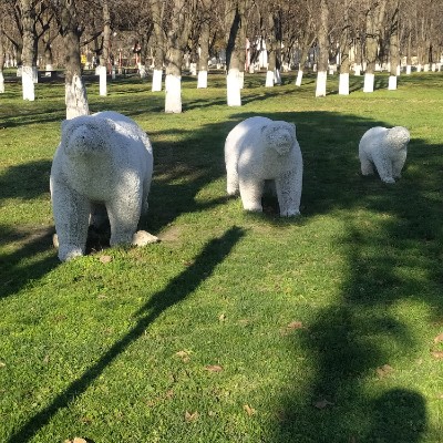 ИДЁМ К ЦЕЛИ🕊️❤️ 🍁Светлана🍁 post image