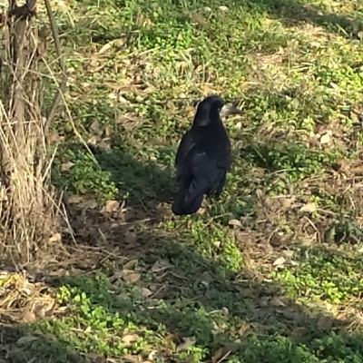 ИДЁМ К ЦЕЛИ🕊️❤️ 🍁Светлана🍁 post image