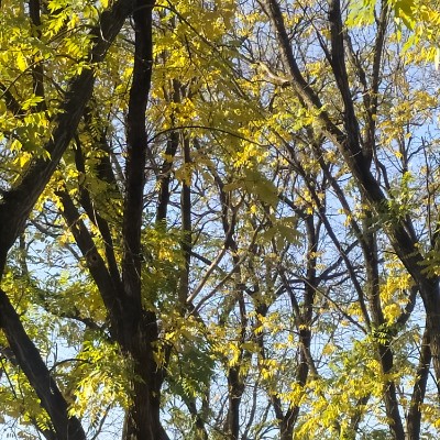 ИДЁМ К ЦЕЛИ🕊️❤️ 🍁Светлана🍁 post image