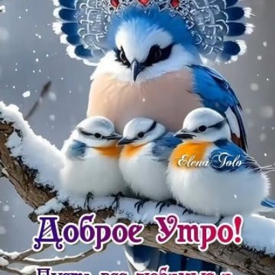 December 5k Race #2 🍁Светлана🍁 post image