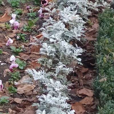 ИДЁМ К ЦЕЛИ🕊️❤️ 🍁Светлана🍁 post image