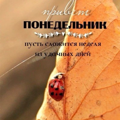 ИДЁМ К ЦЕЛИ🕊️❤️ 🍁Светлана🍁 post image