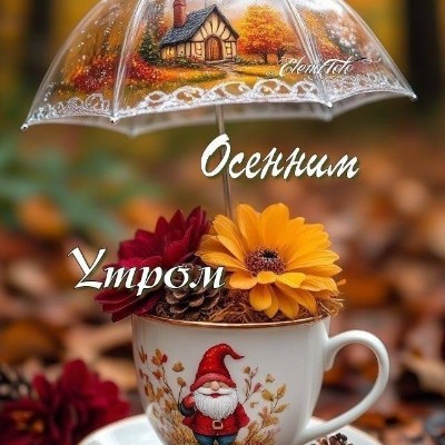 ИДЁМ К ЦЕЛИ🕊️❤️ 🍁Светлана🍁 post image