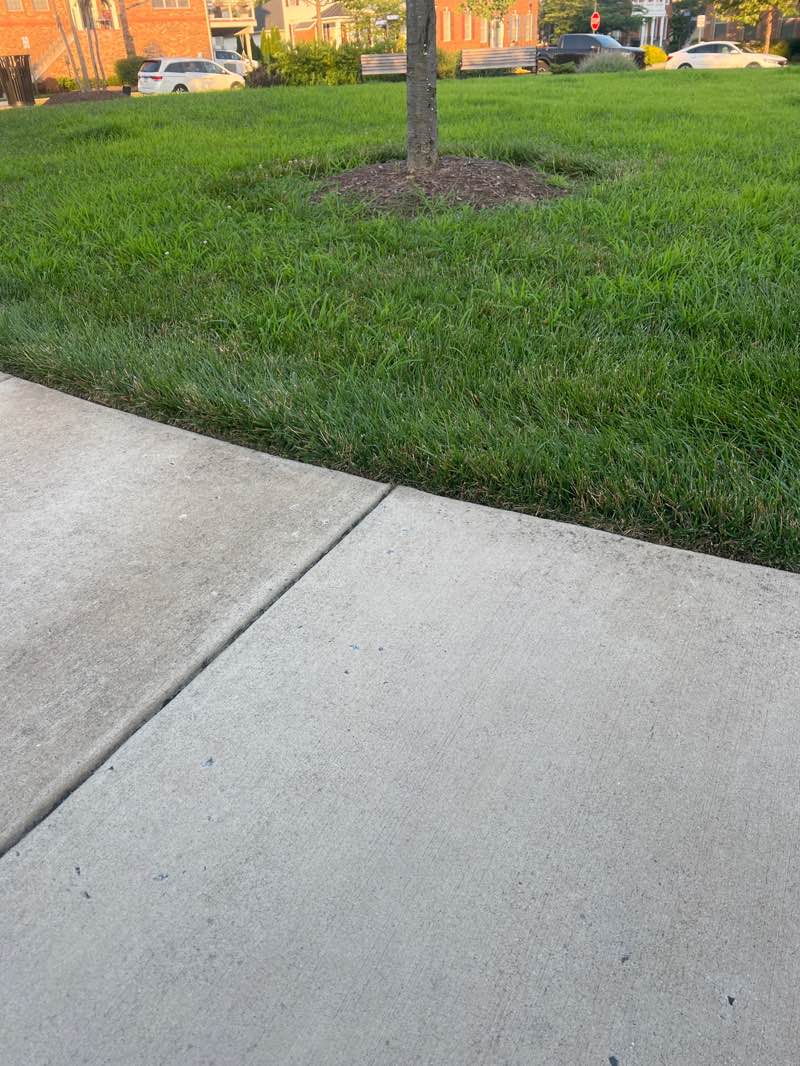 walking near me in Edgar Tillett Memorial Park in autumn