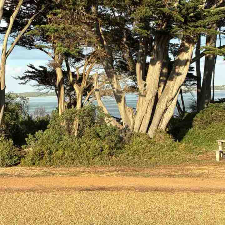 frresh2bee 🇦🇺 post 1