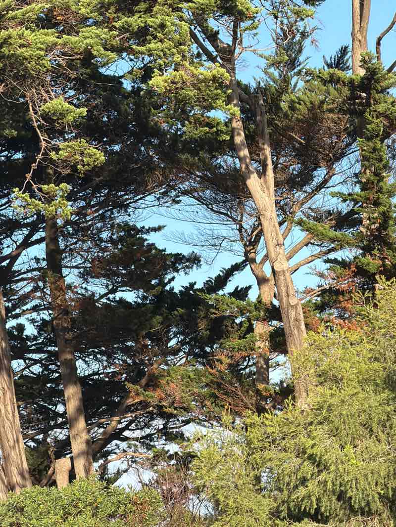 walking near me in San Remo Recreation Reserve in winter