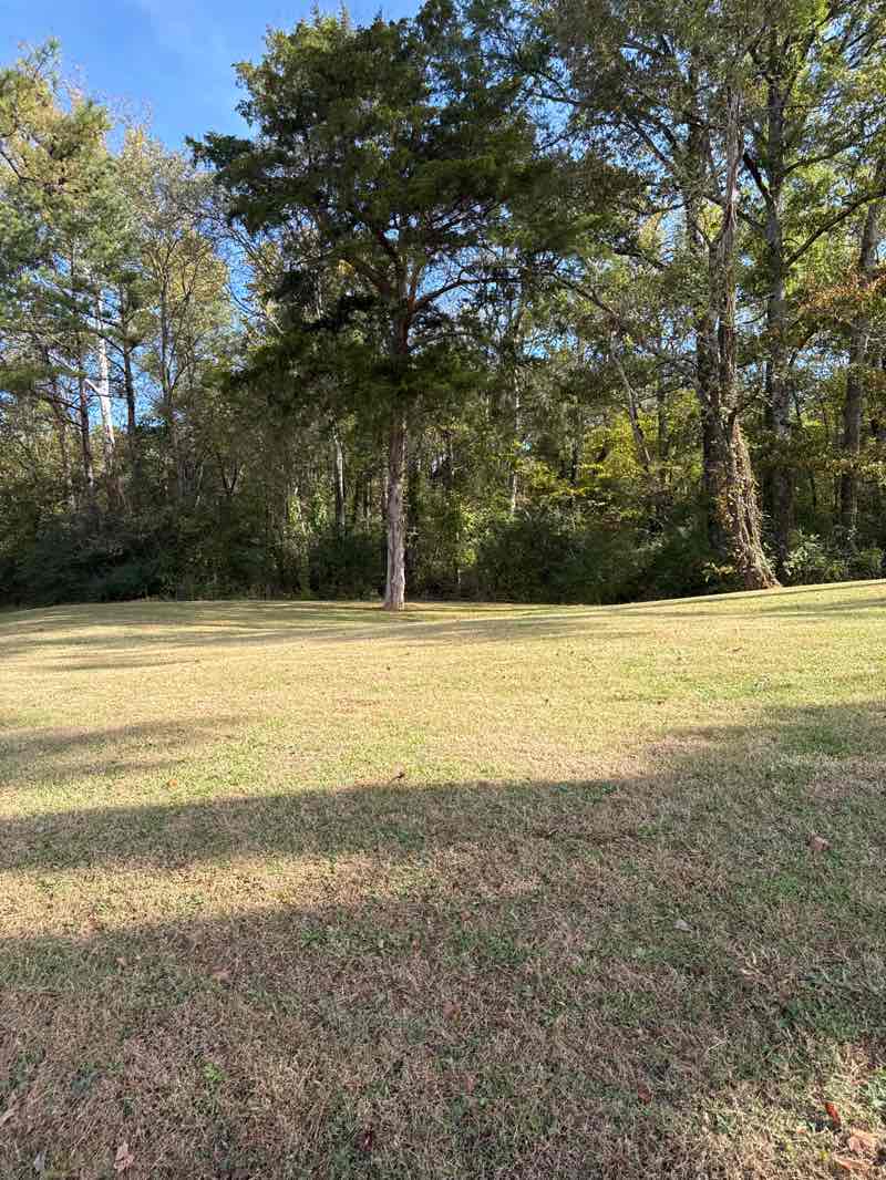 walking near me in John Blackwell Park in autumn