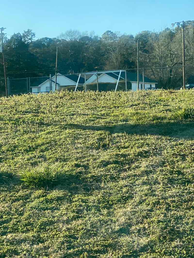 walking near me in Chuckie Mullins Recreation in winter