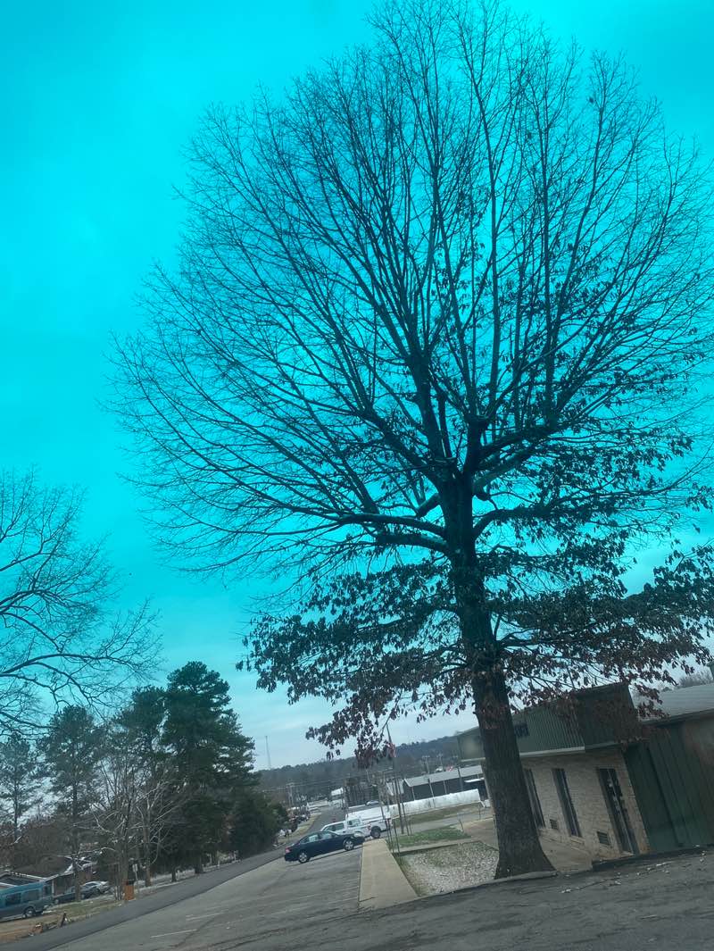 walking near me in Russellville Recreation Center in winter