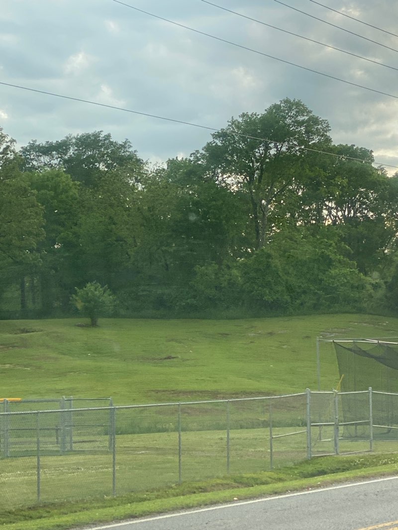 walking near me in Hal Kirby Junior Park in spring