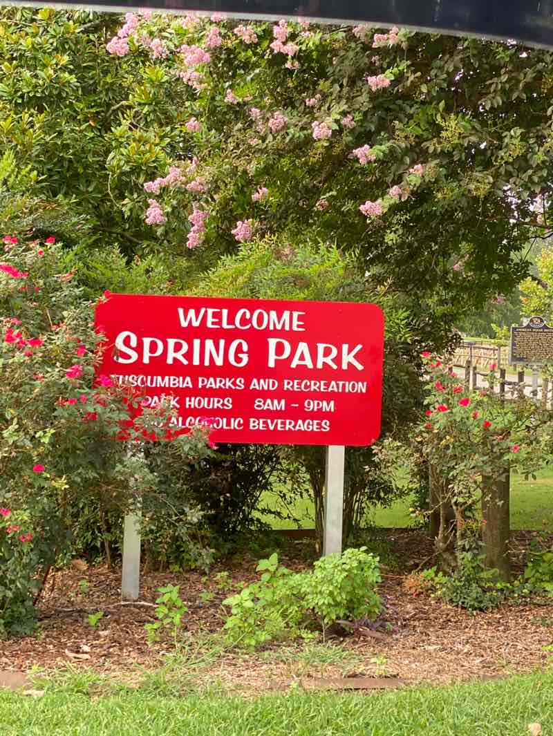 walking near me in Spring Park in autumn