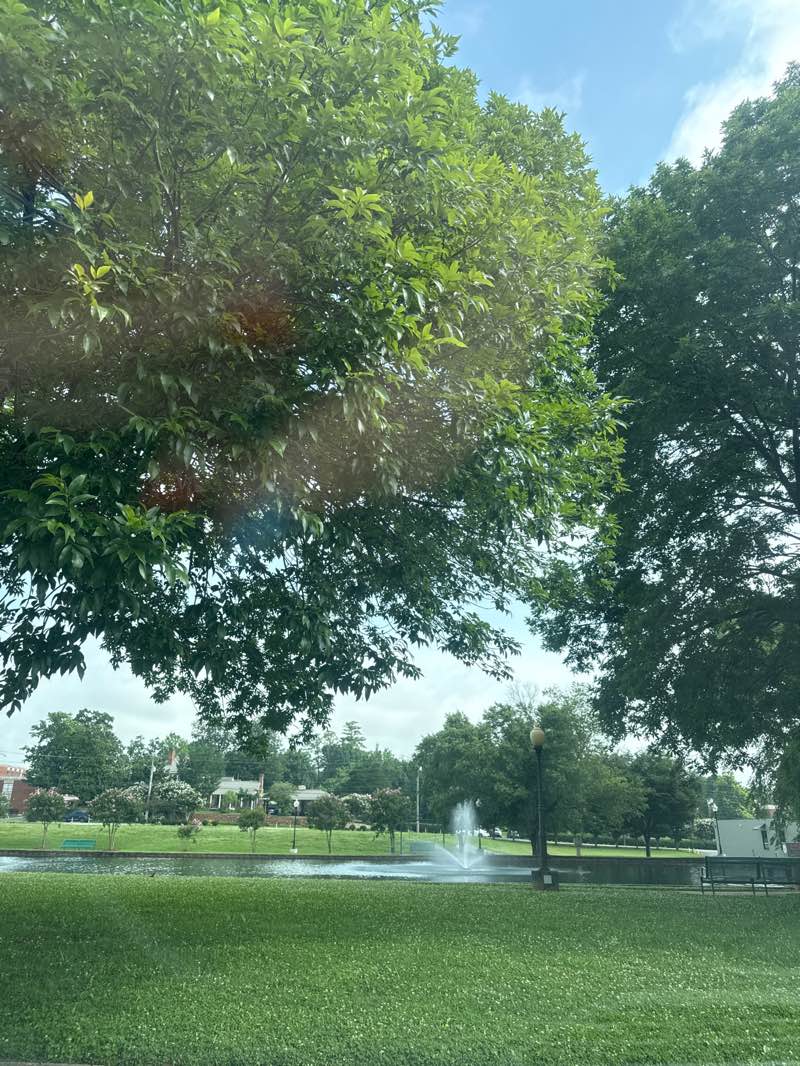 walking near me in Big Spring Park in summer