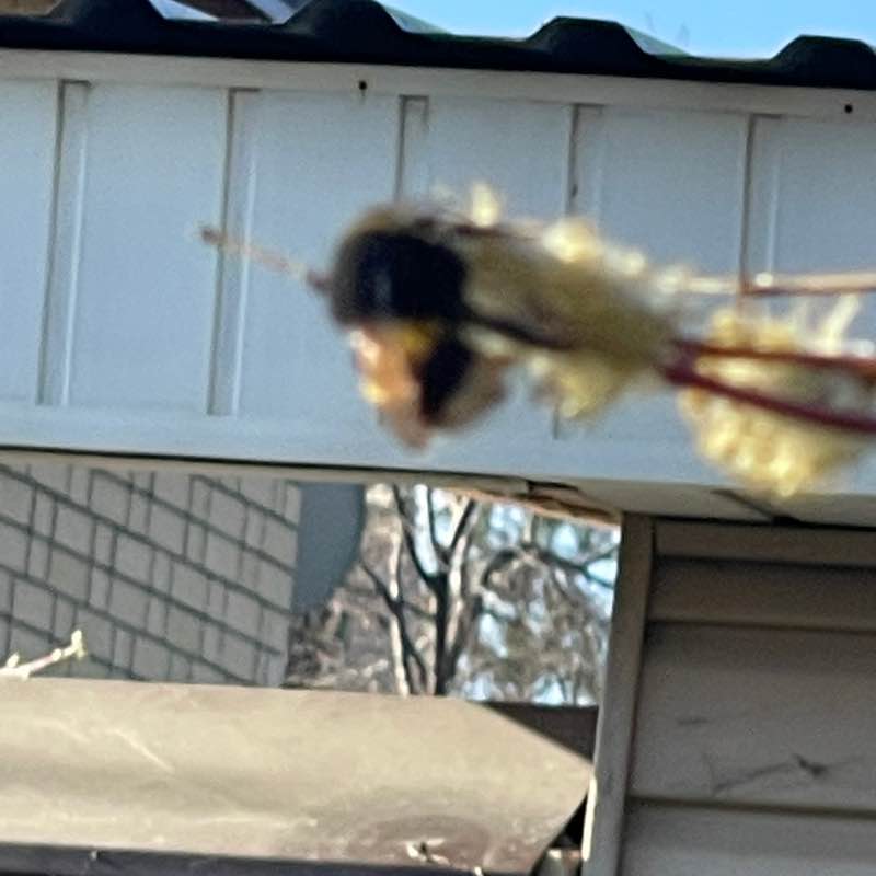 Бег к морю Екатерина 🕊🕊🕊 post image