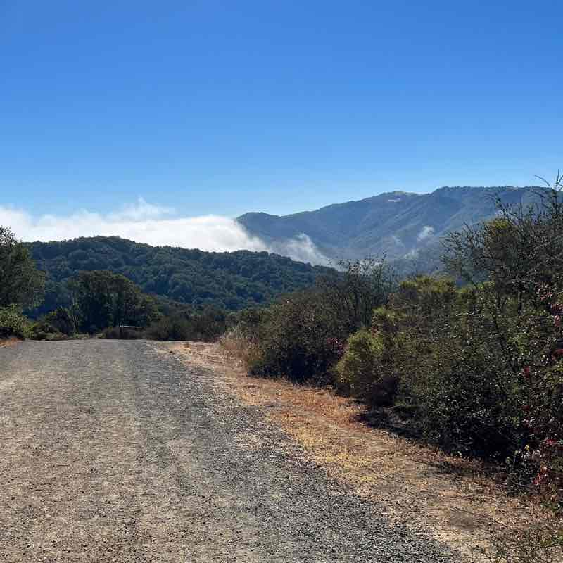 besttiger2220011 post 2