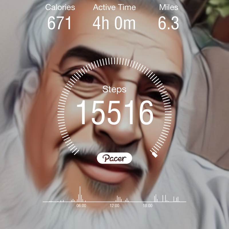 💙💙 DaisyEye💜💜 منير خوجة post image