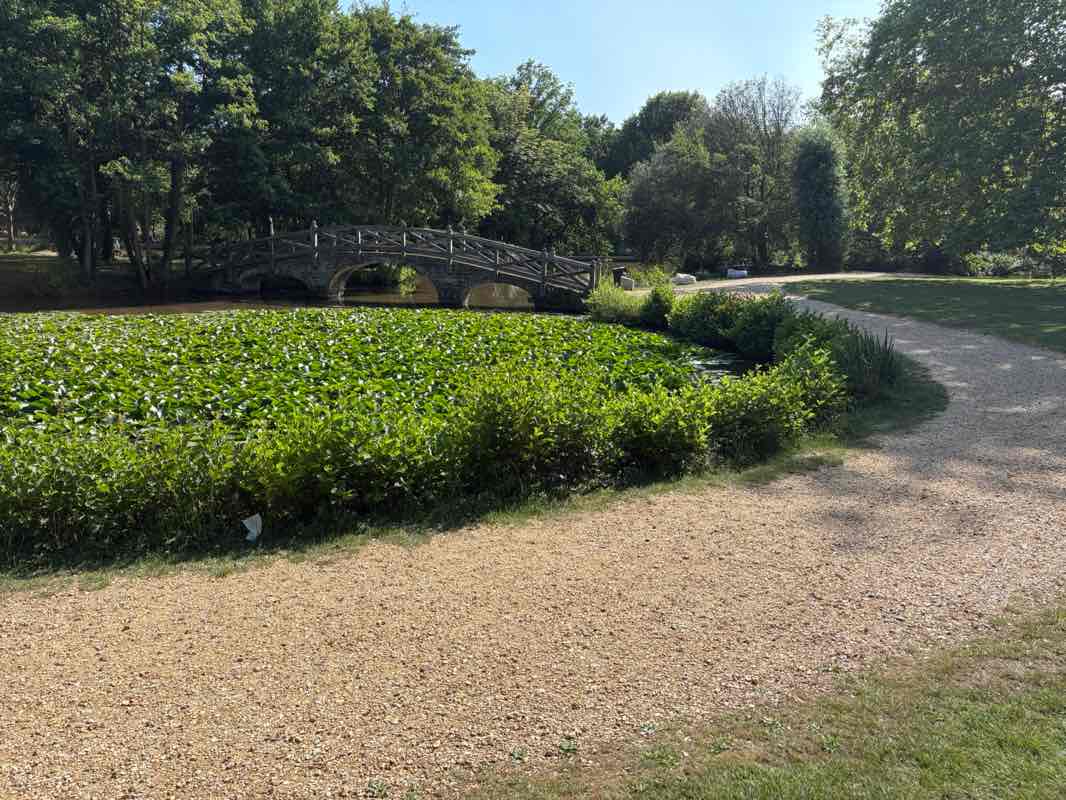 walking near me in Staunton Farm and Gardens in summer