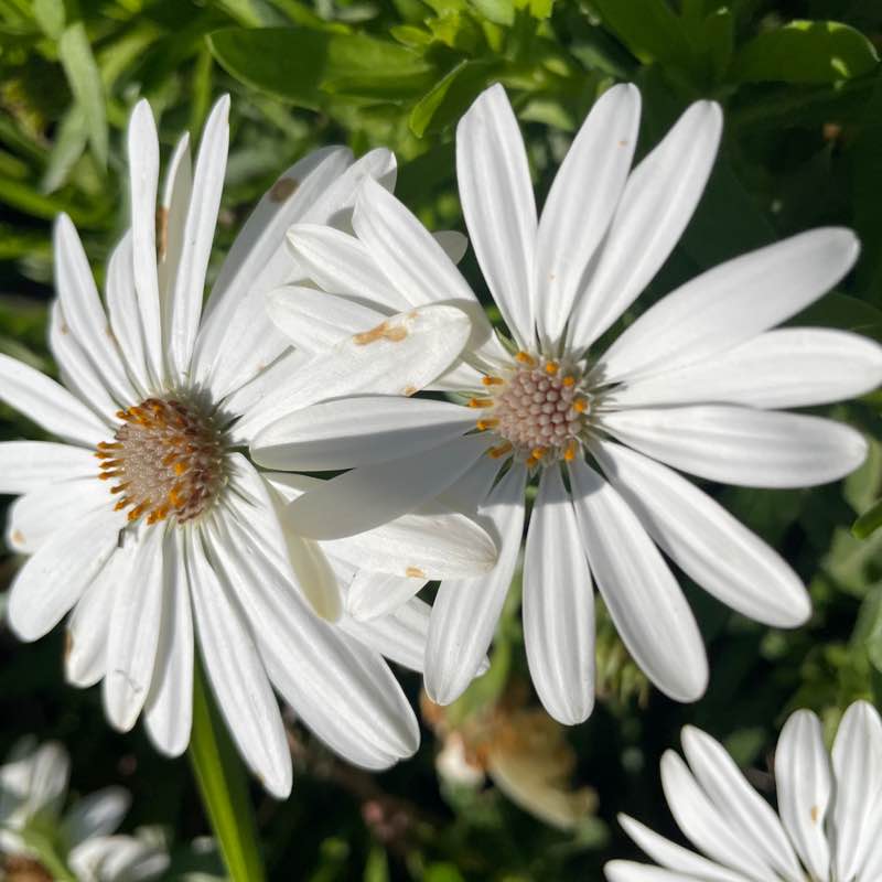 roxvelasco310 post 1