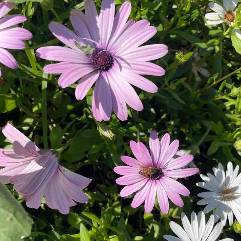 roxvelasco310 post 2