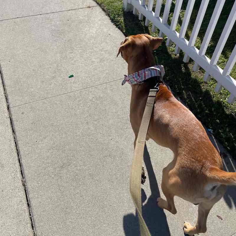 roxvelasco310 post 1