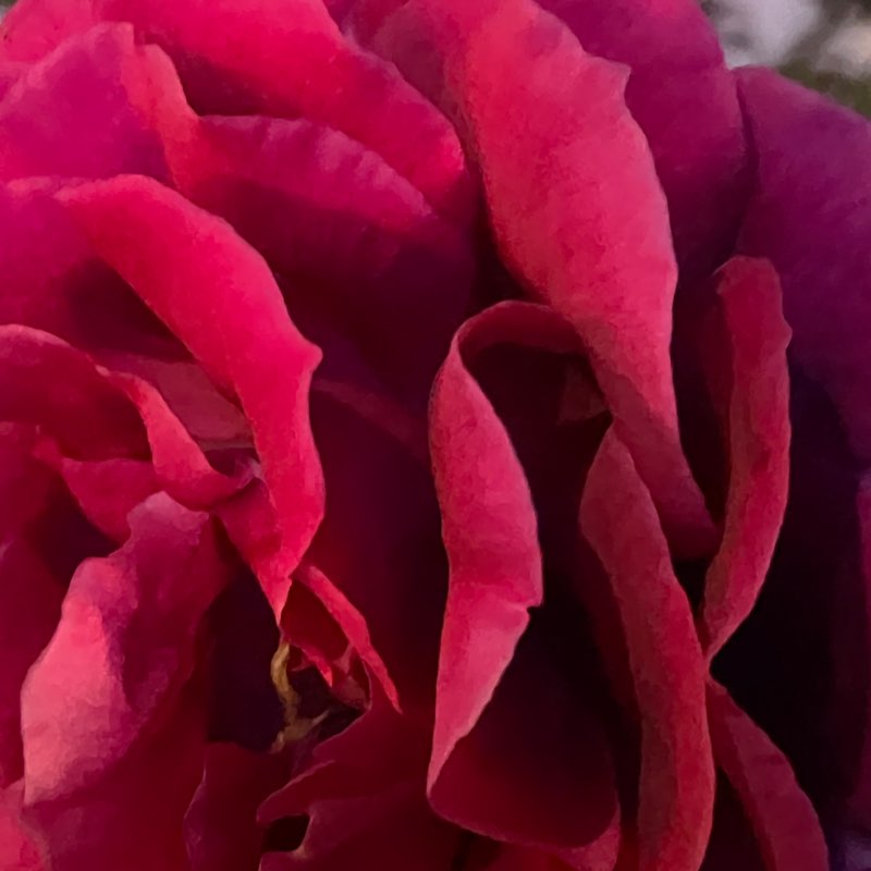 roxvelasco310 post 1