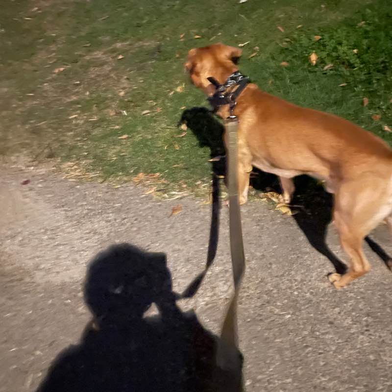 roxvelasco310 post 2