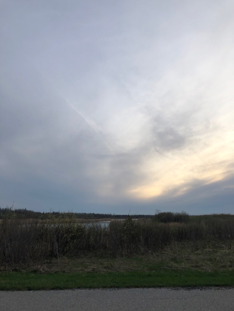 walking near me in Birds Hill Provincial Park in winter