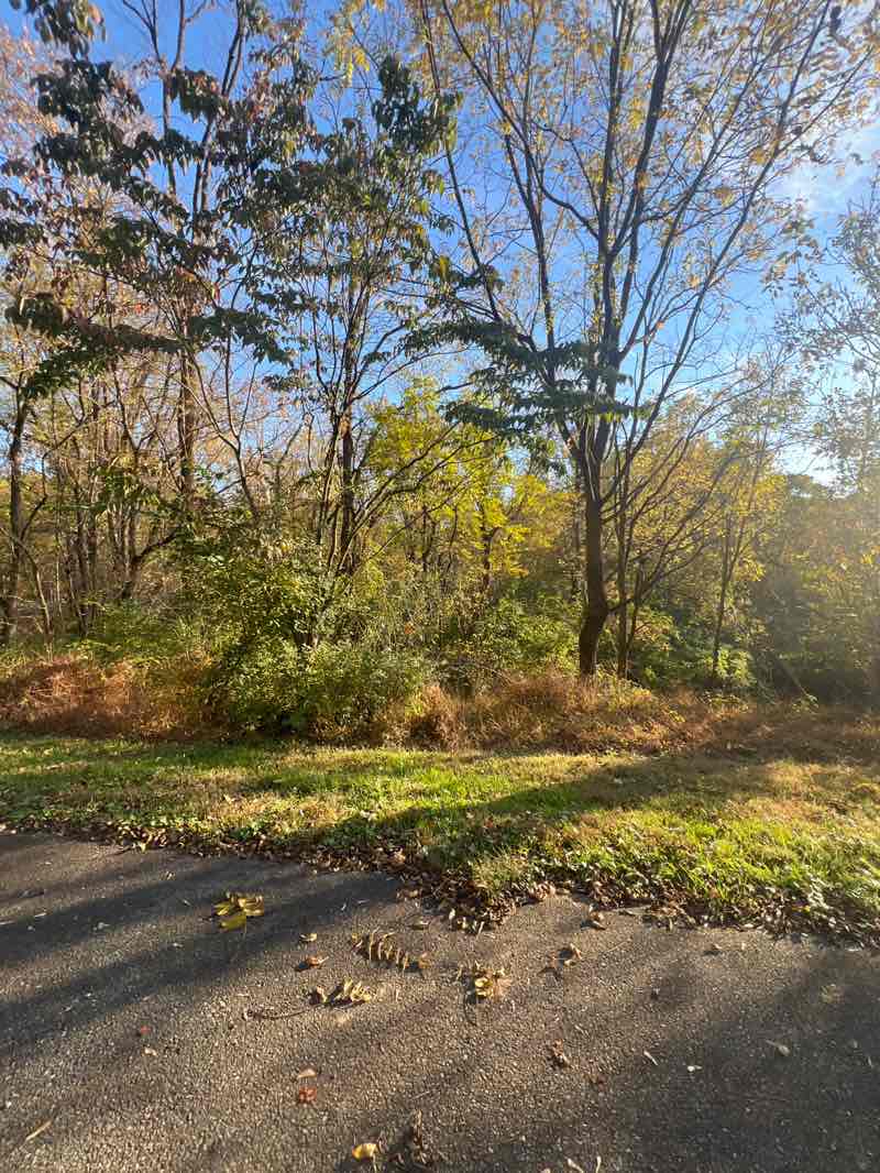 walking near me in Ingram's Mill Nature Area in autumn